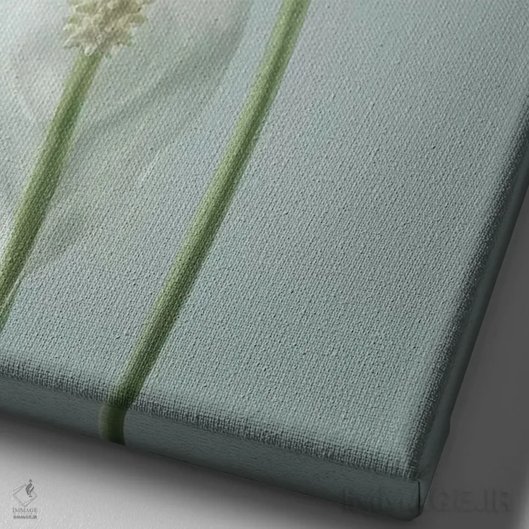 تابلو دکوراتیو Washington State, Seabeck. Peace lily close-up.,ایالات متحده… اثر جینز گالری - نمای نزدیک بافت بوم