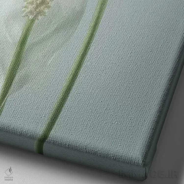 تابلو دکوراتیو Washington State, Seabeck. Peace lily close-up.,ایالات متحده… اثر جینز گالری - نمای نزدیک بافت بوم