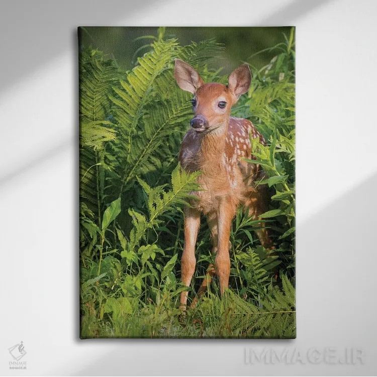 تابلو دکوراتیو USA, Minnesota, Sandstone, Minnesota Wildlife Connection.,گو… اثر جینز گالری - نمای روبهرو روی دیوار