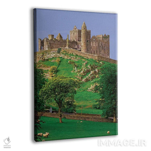تابلو دکوراتیو County Tipperary. View Of The Rock Of Cashel, A Medieval For… اثر جینز گالری - نمای پرسپکتیو محصول