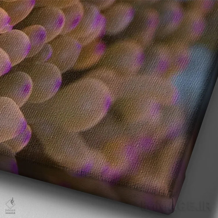 تابلو دکوراتیو فیجی. ماهی دلقک پنهان شده میان شقایق های دریایی اثر جینز گالری - نمای نزدیک بافت بوم