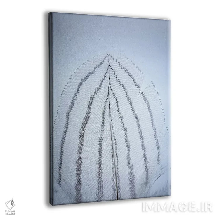 تابلو دکوراتیو Washington State, Seabeck. Detail of feather I,ایالات متحده… اثر جینز گالری - نمای پرسپکتیو محصول