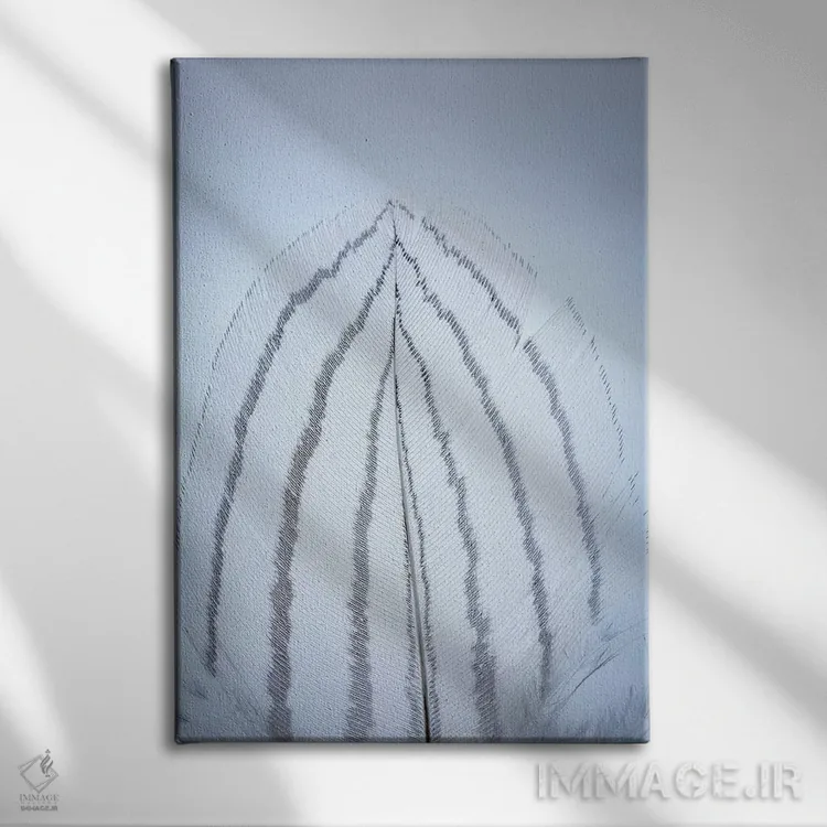 تابلو دکوراتیو Washington State, Seabeck. Detail of feather I,ایالات متحده… اثر جینز گالری - نمای روبهرو روی دیوار