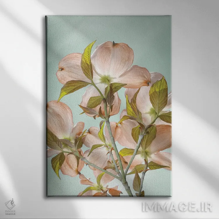 تابلو دکوراتیو Washington State, Seabeck. Colorized pink dogwood blossoms.… اثر جینز گالری - نمای روبهرو روی دیوار