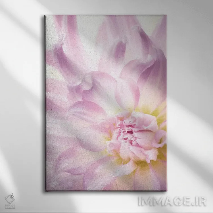 تابلو دکوراتیو Washington State, Seabeck. Dahlia blossom close-up I,ایالات… اثر جینز گالری - نمای روبهرو روی دیوار