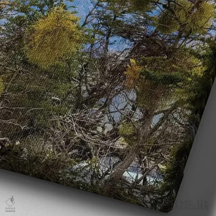 تابلو دکوراتیو Patagonia. The Horns mountains II,شیلی، پاتاگونیا. کوه های ه… اثر جینز گالری - نمای نزدیک بافت بوم