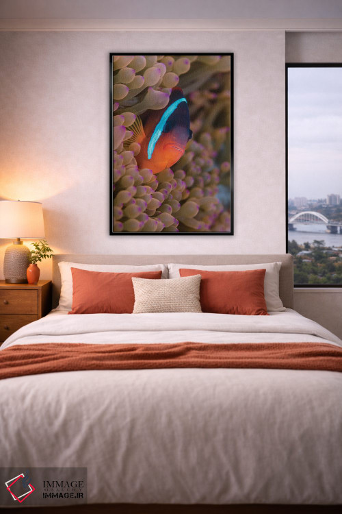 تابلو دکوراتیو فیجی. ماهی دلقک پنهان شده میان شقایق های دریایی اثر جینز گالری - D5B