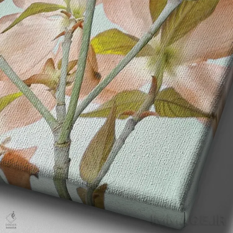 تابلو دکوراتیو Washington State, Seabeck. Colorized pink dogwood blossoms.… اثر جینز گالری - نمای نزدیک بافت بوم