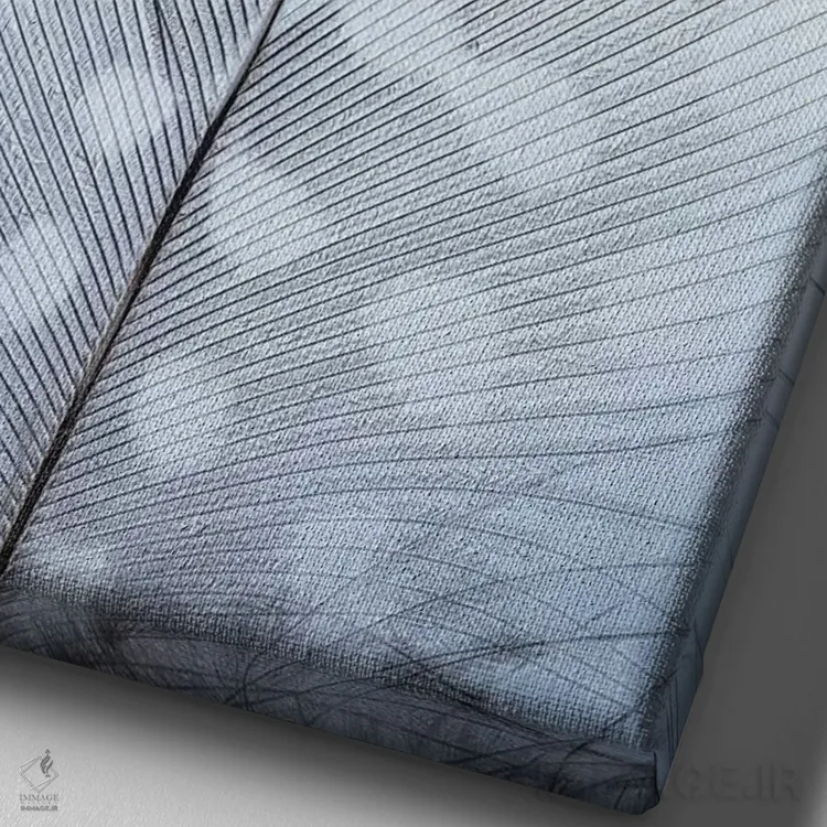 تابلو دکوراتیو Washington State, Seabeck. Detail of feather II,ایالات متحده… اثر جینز گالری - نمای نزدیک بافت بوم