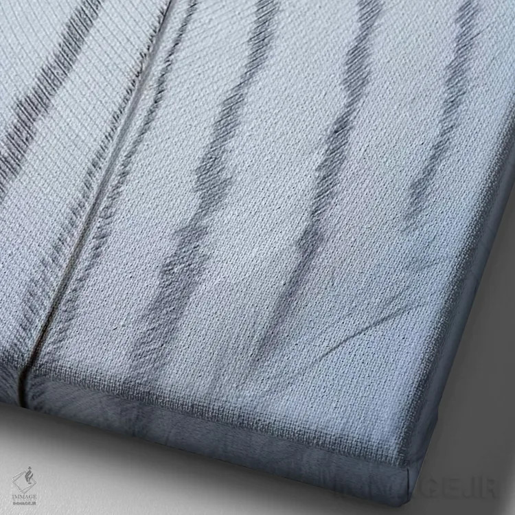 تابلو دکوراتیو Washington State, Seabeck. Detail of feather I,ایالات متحده… اثر جینز گالری - نمای نزدیک بافت بوم