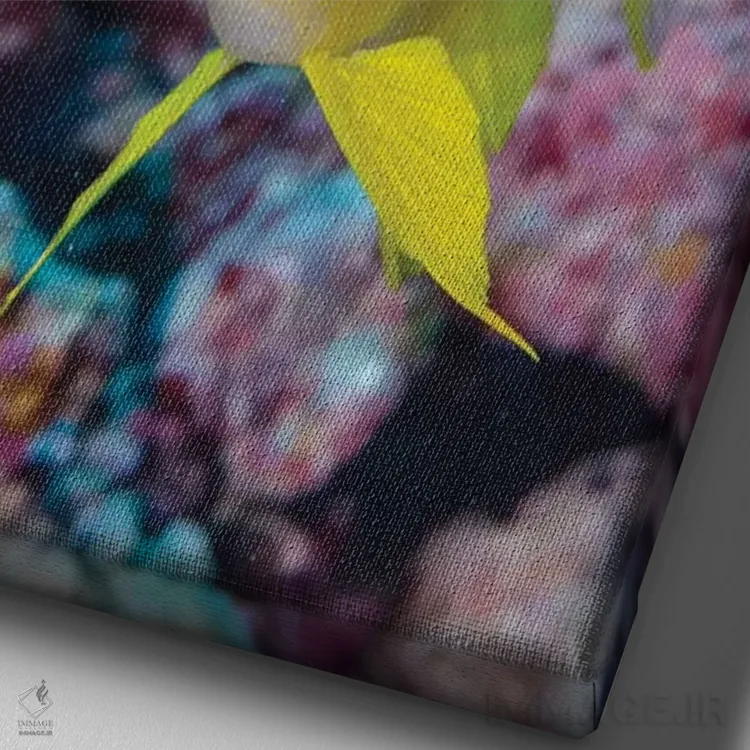 تابلو دکوراتیو فیجی. نمای نزدیک ماهی زرد رنگ کروم اثر جینز گالری - نمای نزدیک بافت بوم