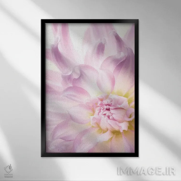 تابلو دکوراتیو Washington State, Seabeck. Dahlia blossom close-up I,ایالات… اثر جینز گالری - نمای قابدار مشکی