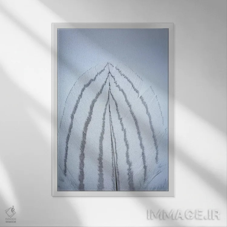 تابلو دکوراتیو Washington State, Seabeck. Detail of feather I,ایالات متحده… اثر جینز گالری - نمای قابدار سفید