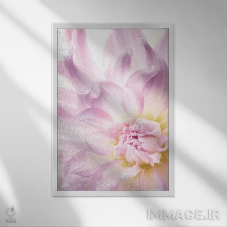 تابلو دکوراتیو Washington State, Seabeck. Dahlia blossom close-up I,ایالات… اثر جینز گالری - نمای قابدار سفید
