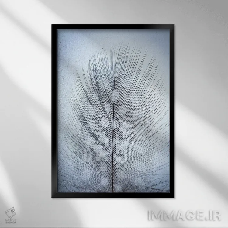 تابلو دکوراتیو Washington State, Seabeck. Detail of feather II,ایالات متحده… اثر جینز گالری - نمای قابدار مشکی