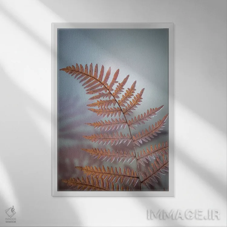 تابلو دکوراتیو آمریکا، ایالت واشنگتن، شهرستان کیتساپ. سرخس کوهی در زمستان اثر جینز گالری - نمای قابدار سفید