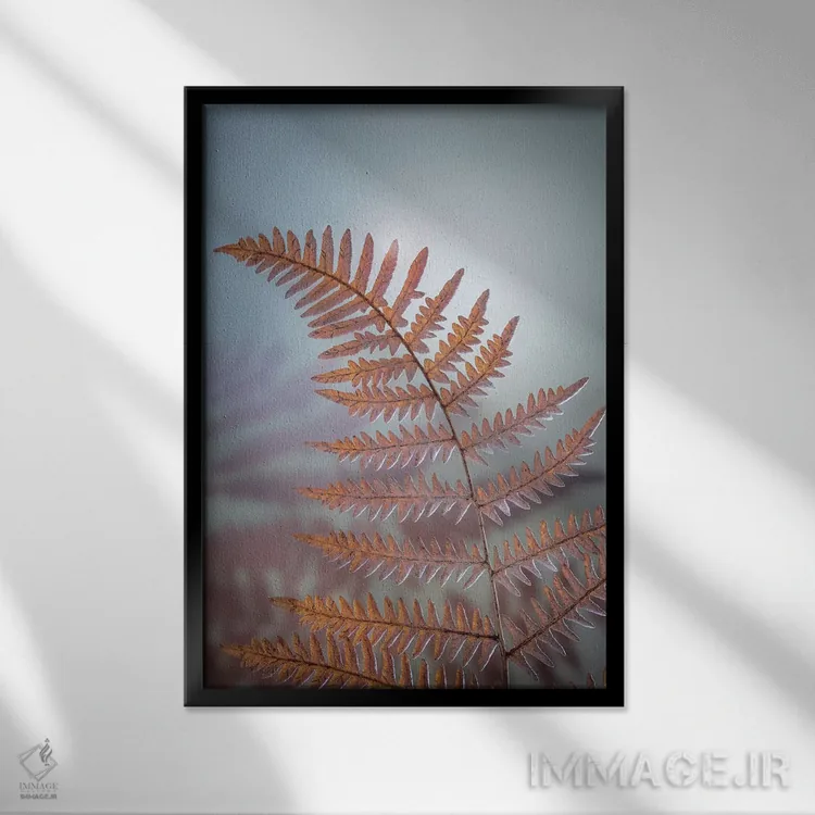 تابلو دکوراتیو آمریکا، ایالت واشنگتن، شهرستان کیتساپ. سرخس کوهی در زمستان اثر جینز گالری - نمای قابدار مشکی