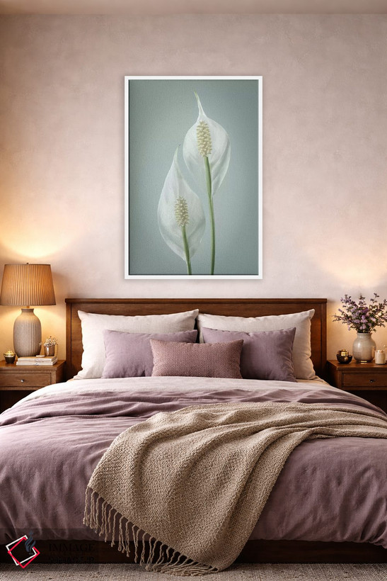 تابلو دکوراتیو Washington State, Seabeck. Peace lily close-up.,ایالات متحده… اثر جینز گالری - D3W