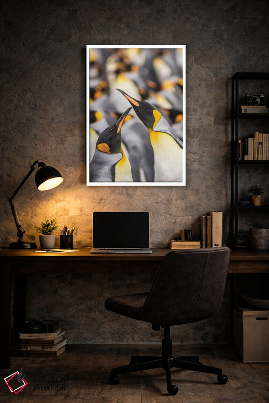 تابلو دکوراتیو East Falkland. King penguins in colony I,جزایر فالکلند، شرق… اثر جینز گالری - D6W