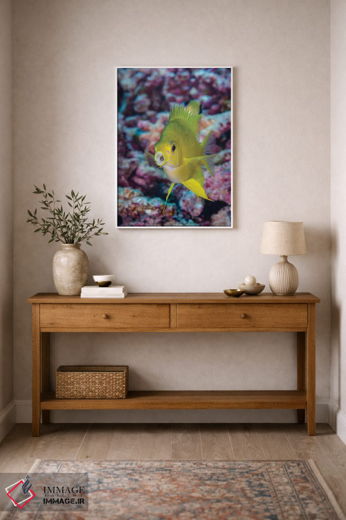 تابلو دکوراتیو فیجی. نمای نزدیک ماهی زرد رنگ کروم اثر جینز گالری - D1W
