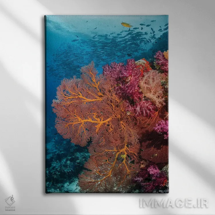 تابلو دکوراتیو فیجی. ماهی ها و صخره مرجانی اثر جینز گالری - نمای روبهرو روی دیوار