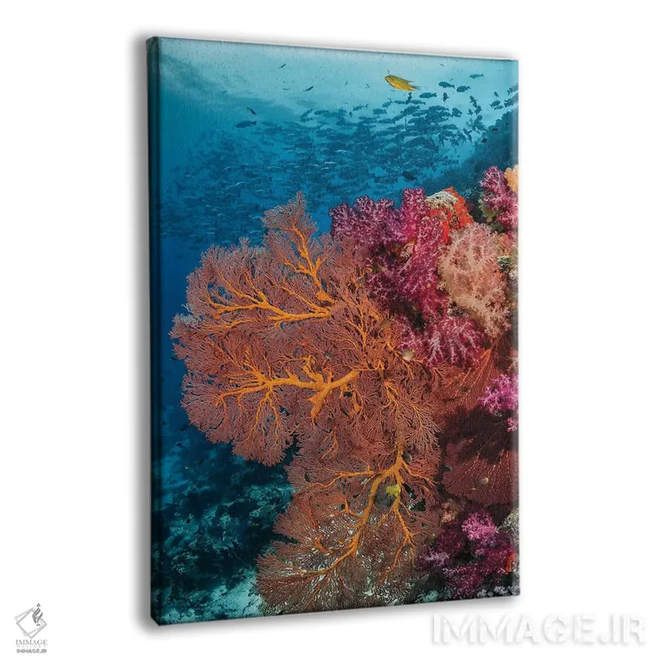 تابلو دکوراتیو فیجی. ماهی ها و صخره مرجانی اثر جینز گالری - نمای پرسپکتیو محصول