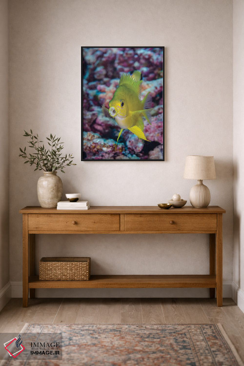 تابلو دکوراتیو فیجی. نمای نزدیک ماهی زرد رنگ کروم اثر جینز گالری - D2B