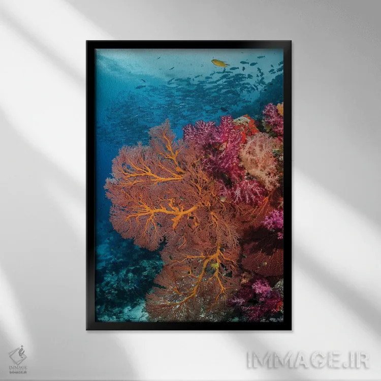 تابلو دکوراتیو فیجی. ماهی ها و صخره مرجانی اثر جینز گالری - نمای قابدار مشکی