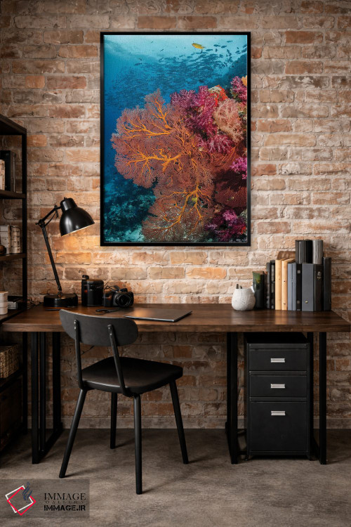تابلو دکوراتیو فیجی. ماهی ها و صخره مرجانی اثر جینز گالری - D4B