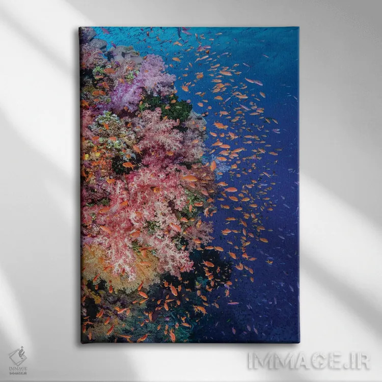 تابلو دکوراتیو فیجی. صخره مرجانی با آنتیاس I اثر جینز گالری - نمای روبهرو روی دیوار