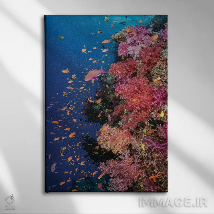 تابلو دکوراتیو فیجی. صخره مرجانی با آنتیاس II اثر جینز گالری - نمای روبهرو روی دیوار