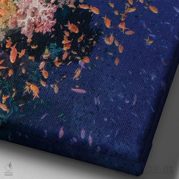 تابلو دکوراتیو فیجی. صخره مرجانی با آنتیاس I اثر جینز گالری - نمای نزدیک بافت بوم