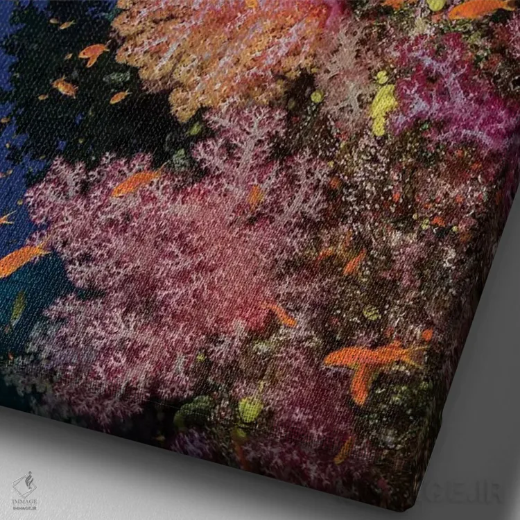 تابلو دکوراتیو فیجی. صخره مرجانی با آنتیاس II اثر جینز گالری - نمای نزدیک بافت بوم