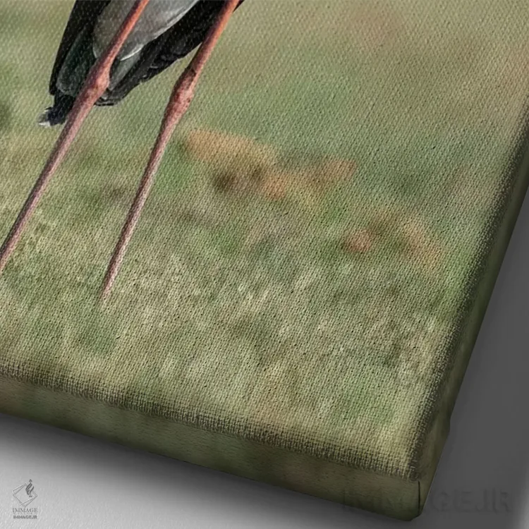 تابلو دکوراتیو Botswana, Chobe National Park. Yellow-billed stork close-up.… اثر جینز گالری - نمای نزدیک بافت بوم