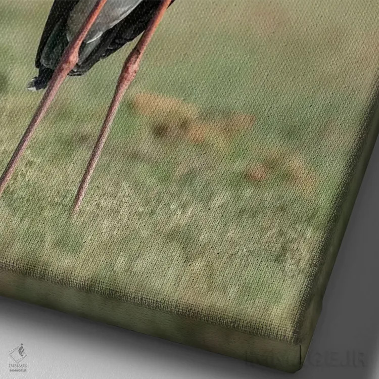 تابلو دکوراتیو Botswana, Chobe National Park. Yellow-billed stork close-up.… اثر جینز گالری - نمای نزدیک بافت بوم