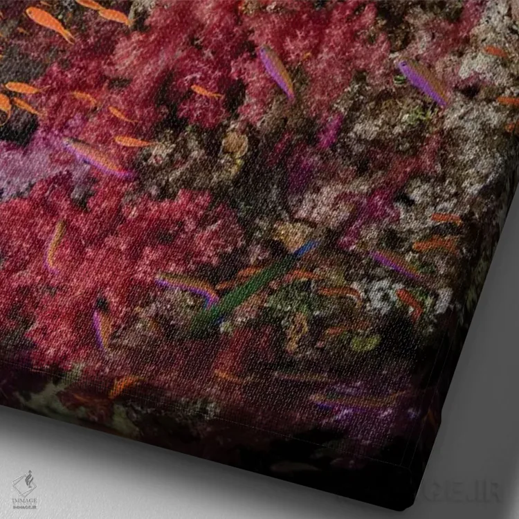 تابلو دکوراتیو فیجی. صخره مرجانی با آنتیاس IV اثر جینز گالری - نمای نزدیک بافت بوم