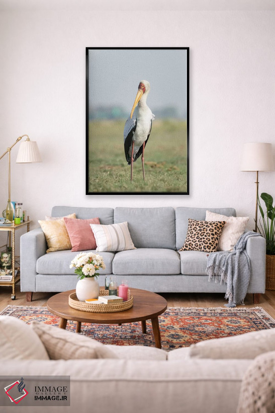 تابلو دکوراتیو Botswana, Chobe National Park. Yellow-billed stork close-up.… اثر جینز گالری - D2B