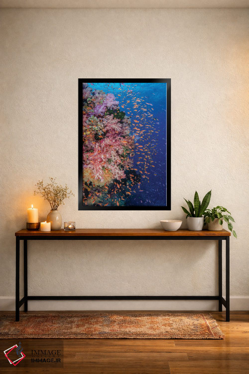 تابلو دکوراتیو فیجی. صخره مرجانی با آنتیاس I اثر جینز گالری - D5B