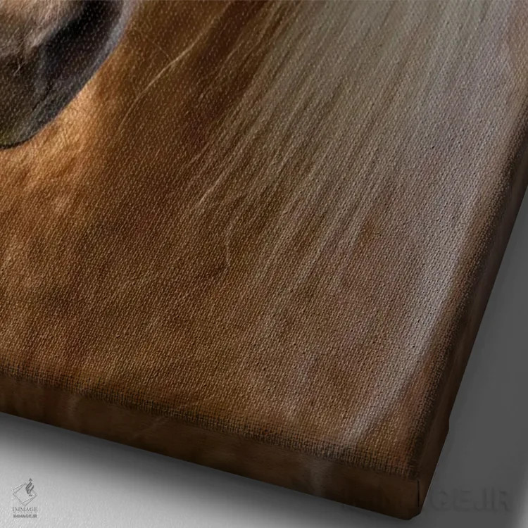 تابلو دکوراتیو ایسلند. اسب ایسلندی در نور غروب IV اثر جینز گالری - نمای نزدیک بافت بوم