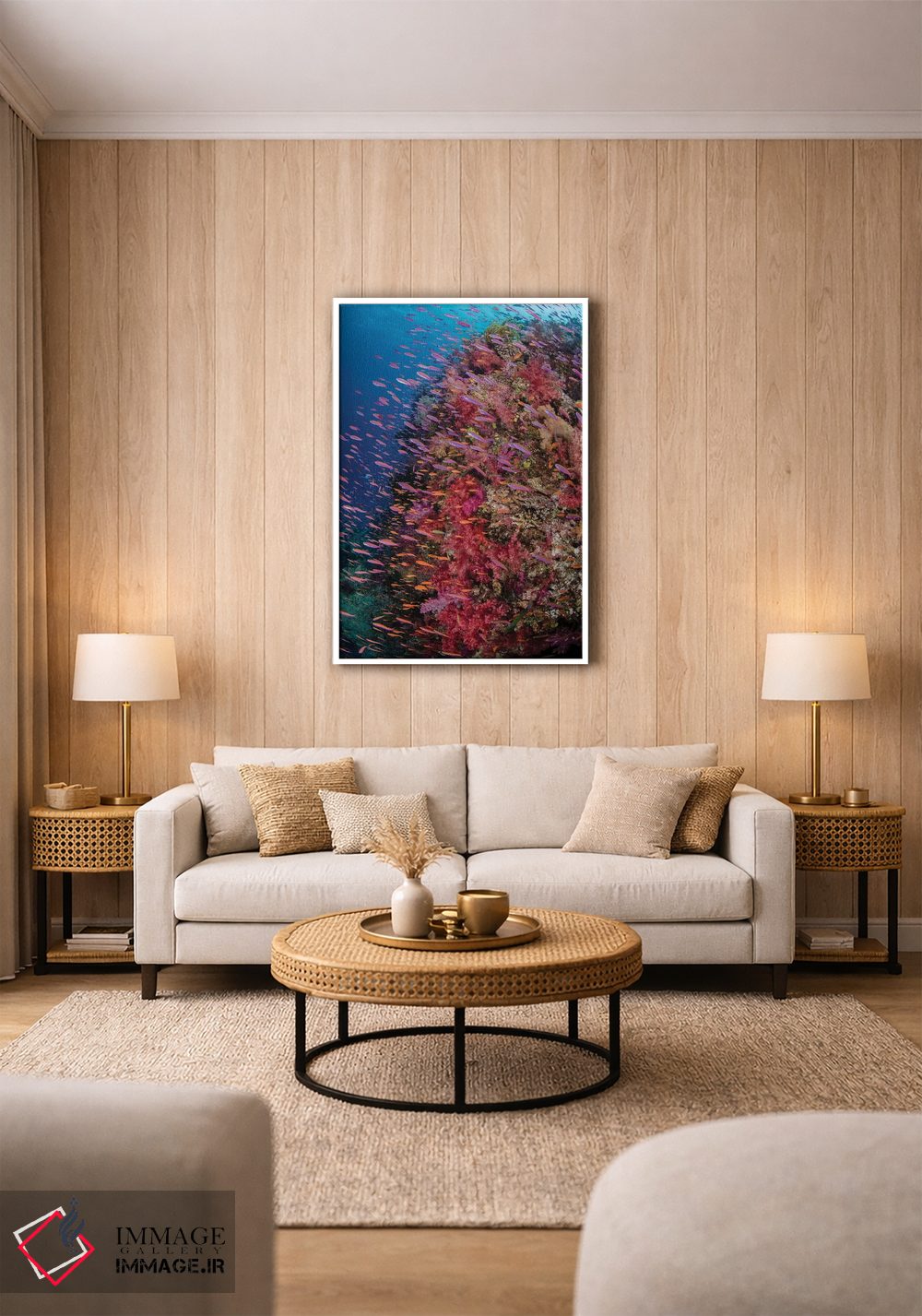 تابلو دکوراتیو فیجی. صخره مرجانی با آنتیاس IV اثر جینز گالری - D1W