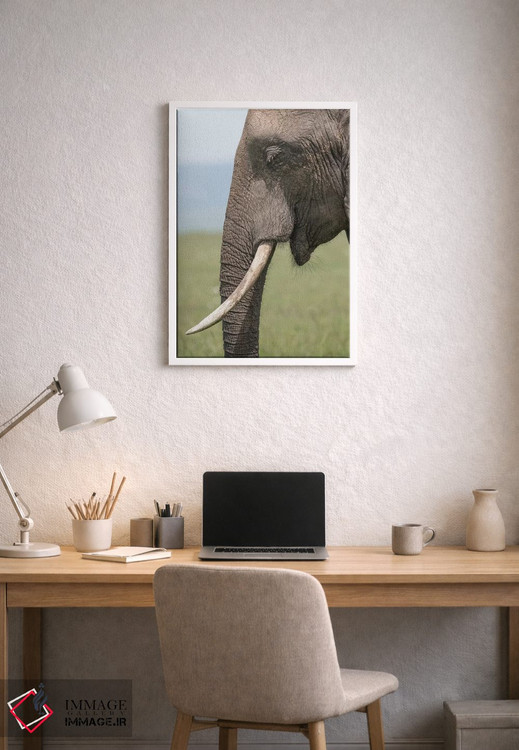تابلو دکوراتیو Kenya, Maasai Mara National Reserve. Close-up of elephant he… اثر جینز گالری - D1W