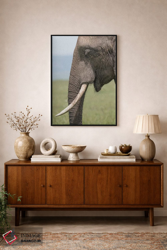 تابلو دکوراتیو Kenya, Maasai Mara National Reserve. Close-up of elephant he… اثر جینز گالری - D2B