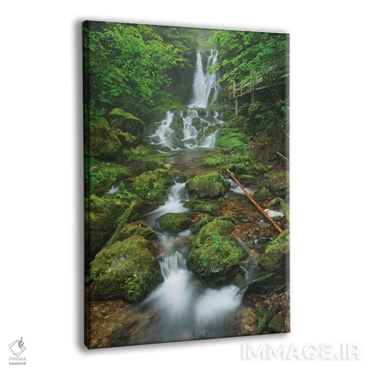 تابلو دکوراتیو New Brunswick, Fundy National Park. Dickson Creek waterfall… اثر جینز گالری - نمای پرسپکتیو محصول