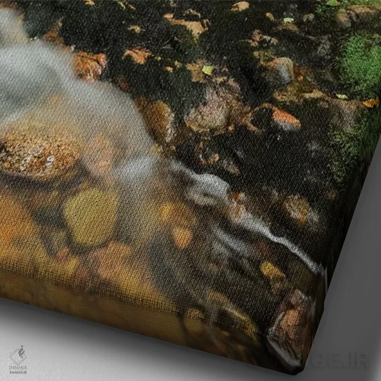 تابلو دکوراتیو Nova Scotia, Cape Breton Highlands National Park. Beulach Ba… اثر جینز گالری - نمای نزدیک بافت بوم