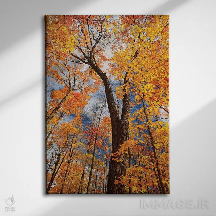 تابلو دکوراتیو Ontario, Fairbank Provincial Park. Sugar maple trees in autu… اثر جینز گالری - نمای روبهرو روی دیوار