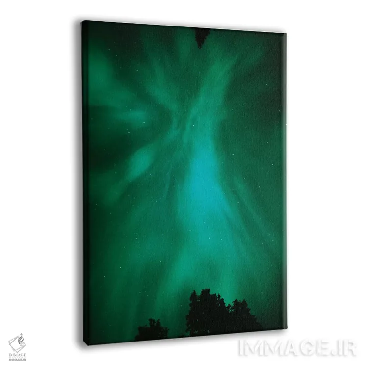 تابلو دکوراتیو Ontario, Sudbury. Northern Lights and trees.,کانادا، انتاریو… اثر جینز گالری - نمای پرسپکتیو محصول