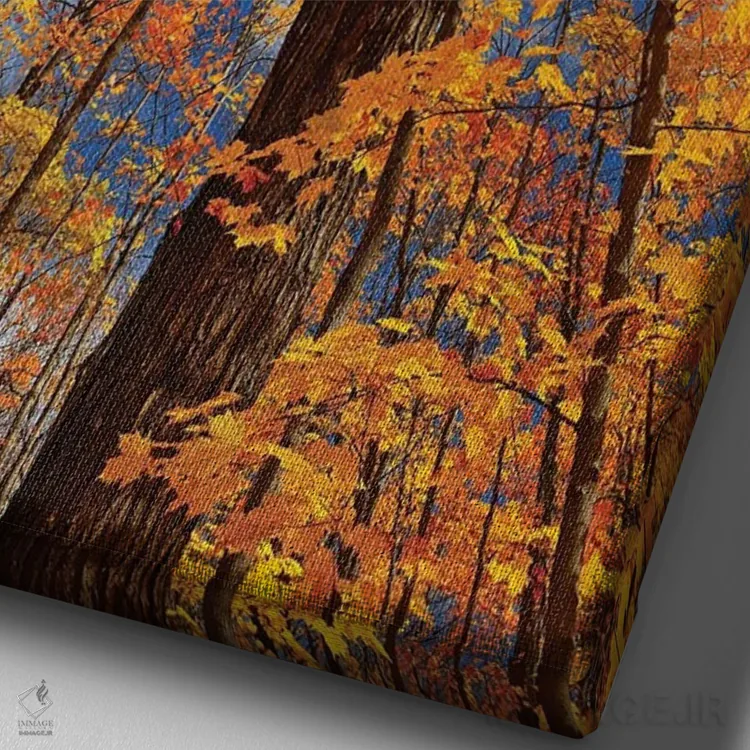 تابلو دکوراتیو Ontario, Fairbank Provincial Park. Sugar maple trees in autu… اثر جینز گالری - نمای نزدیک بافت بوم