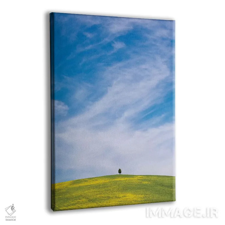 تابلو دکوراتیو San Quirico d'Orcia. Cypress tree on hill.,ایتالیا، سان کویر… اثر جینز گالری - نمای پرسپکتیو محصول