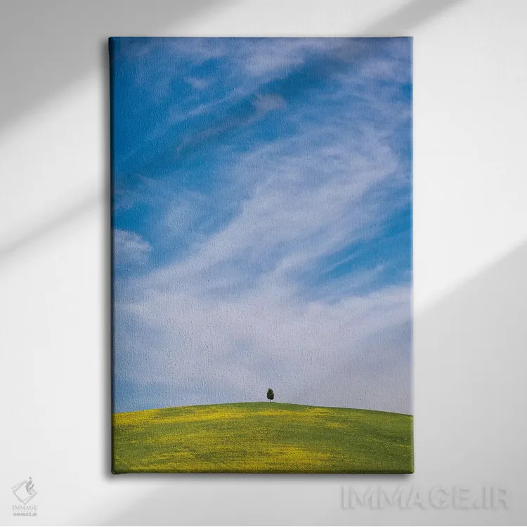 تابلو دکوراتیو San Quirico d'Orcia. Cypress tree on hill.,ایتالیا، سان کویر… اثر جینز گالری - نمای روبهرو روی دیوار