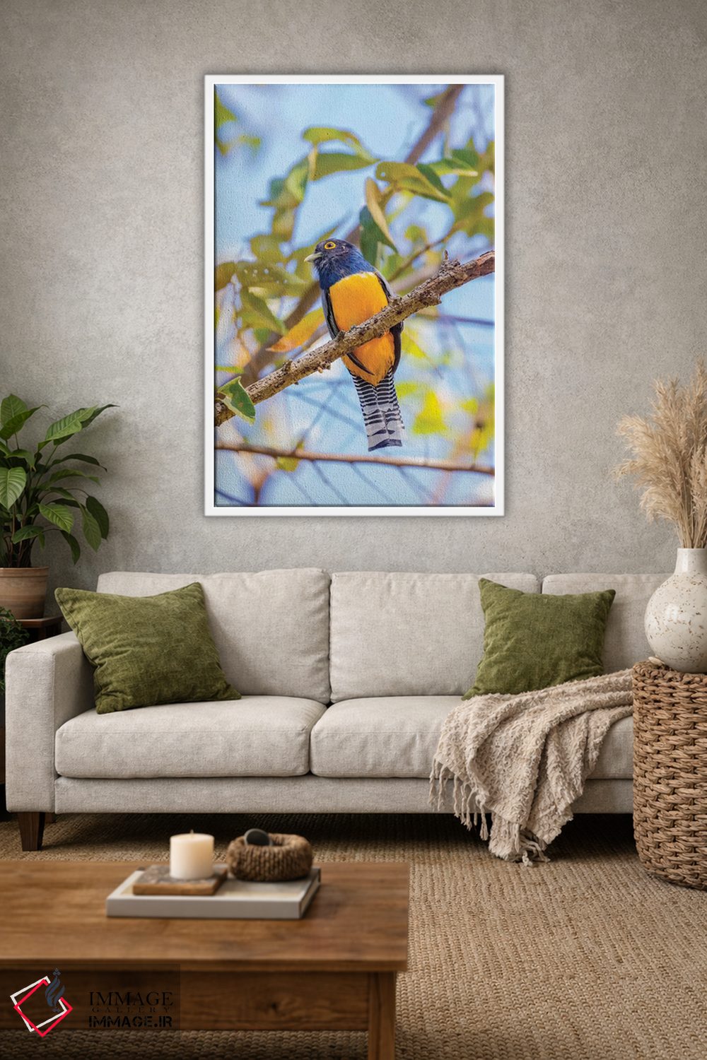 تابلو دکوراتیو Costa Rica. Male gartered trogon.,آمریکای مرکزی، کاستاریکا.… اثر جینز گالری - D1W
